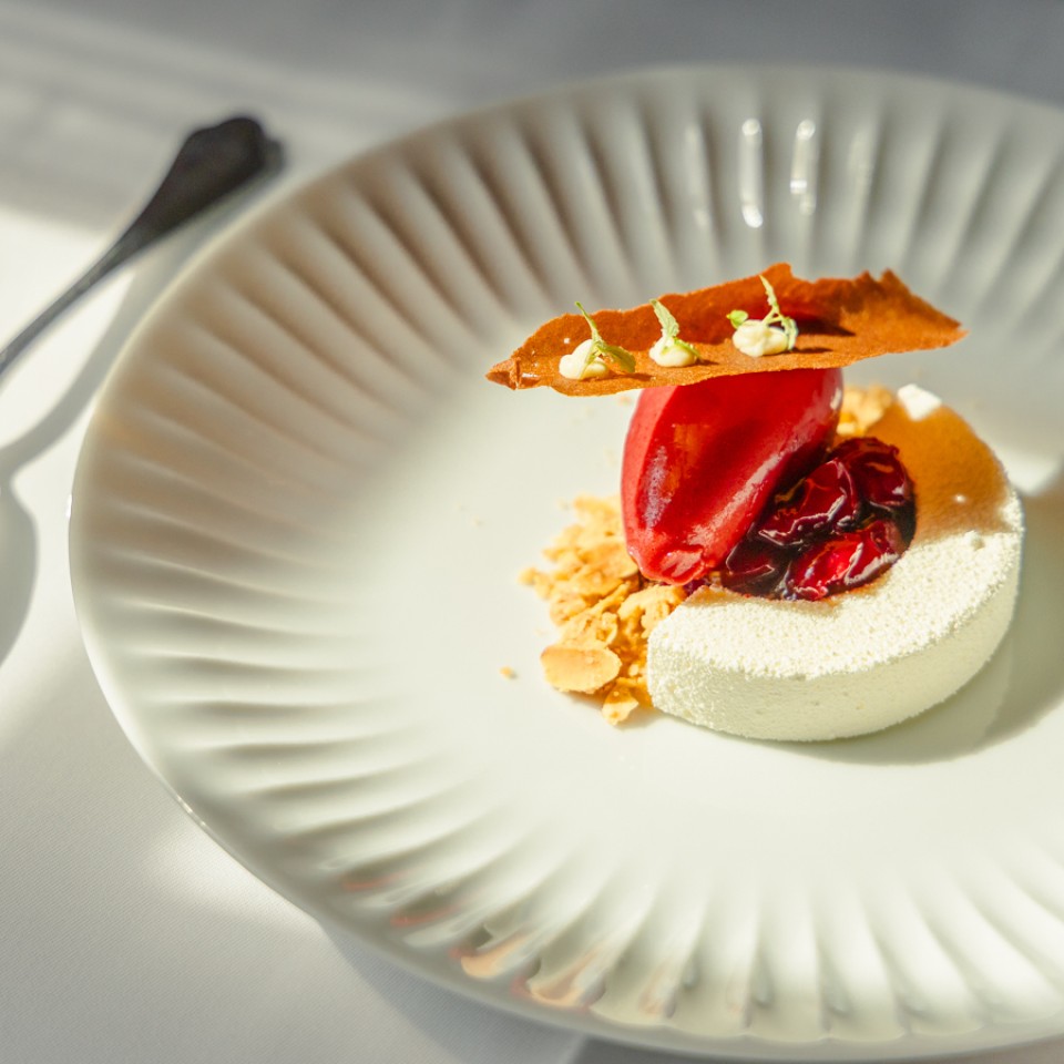 Degustacijski meni 20262