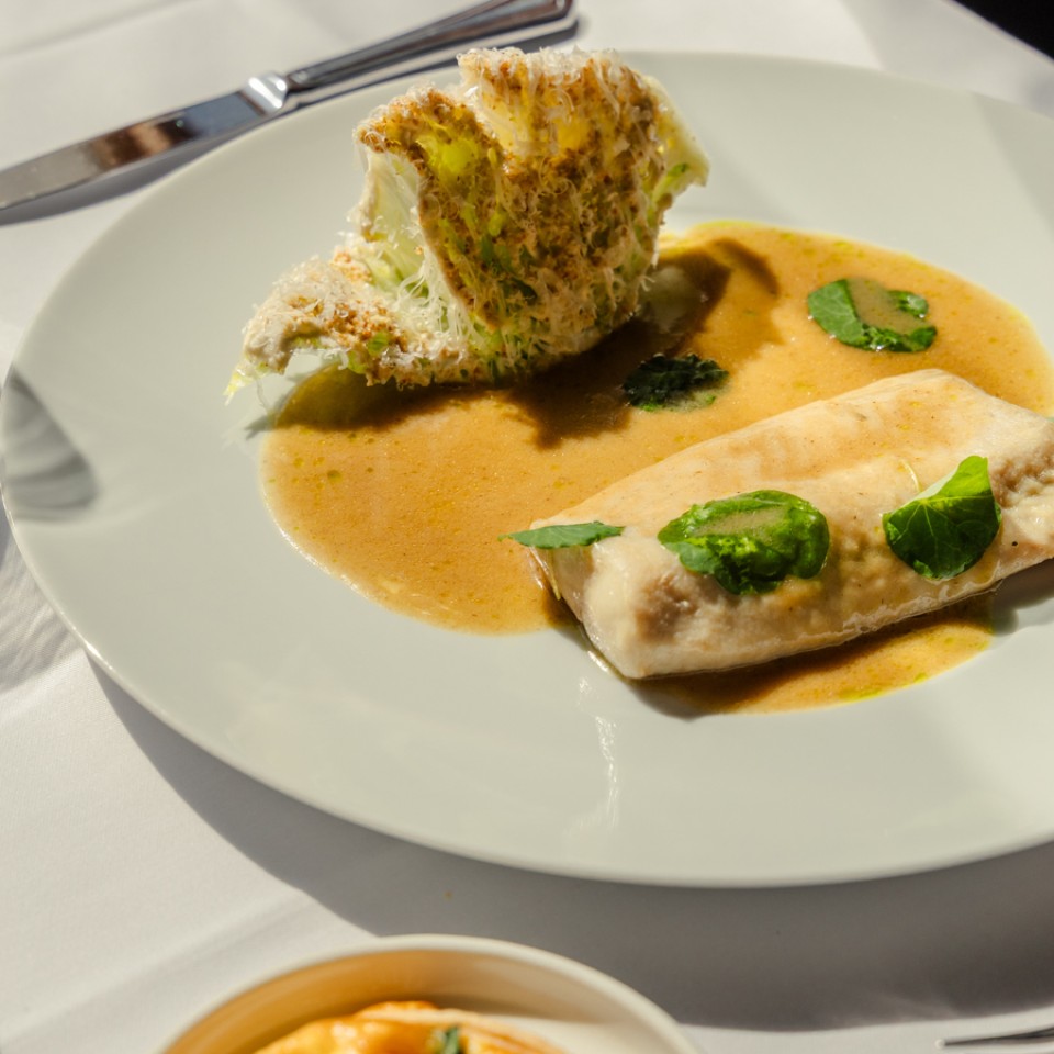 Degustacijski meni 20264